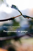 Първа корица на "Пощальонът на дъжда" от Магдалена Абаджиева